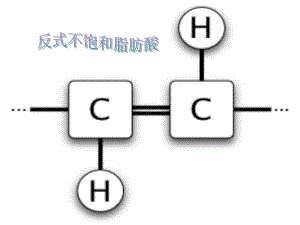 反式不饱和脂肪酸.ppt课件.ppt