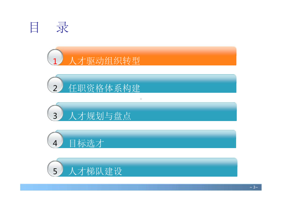 任职资格与人才梯队建设PPT精选.ppt_第2页