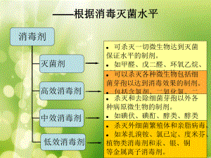 常用化学消毒剂的使用课件.ppt