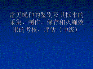 常见蝇类的鉴别(课堂PPT)课件.ppt