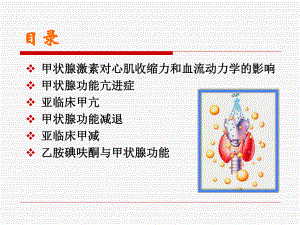 常见甲状腺疾病的心血管损害课件.ppt