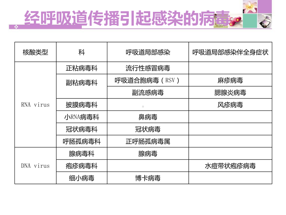 呼吸道病毒概述和新型冠状病毒感染.ppt课件.ppt_第3页