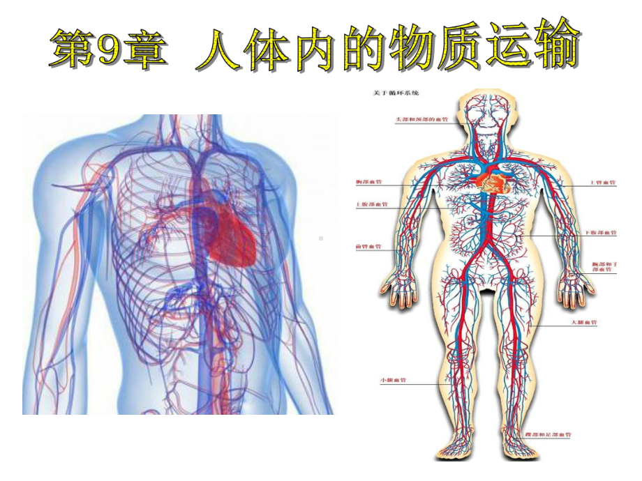 北师大版七年级生物下册4.9.1-血液-(共31张PPT)课件.ppt_第1页