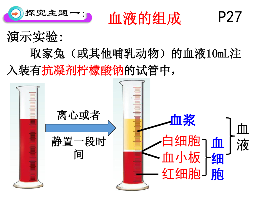 北师大版七年级生物下册4.9.1-血液-(共31张PPT)课件.ppt_第3页