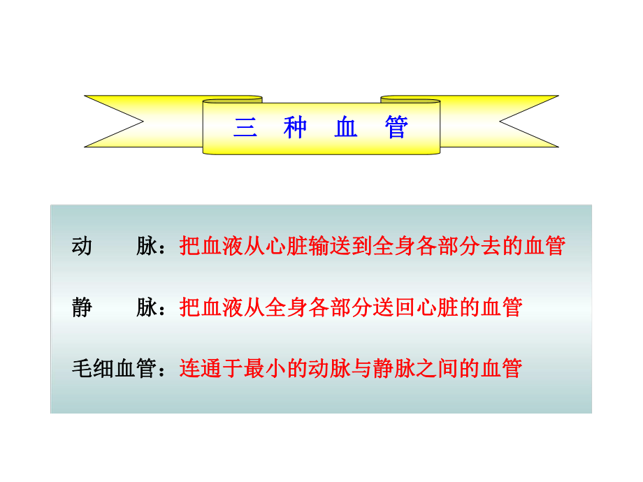 七年级下册生物血管.ppt课件.ppt_第2页