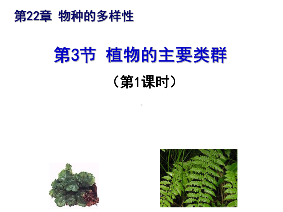 北师大版八年级生物下册22.3.1植物的主要类群(第一课时)(共21张PPT)课件.ppt_第2页