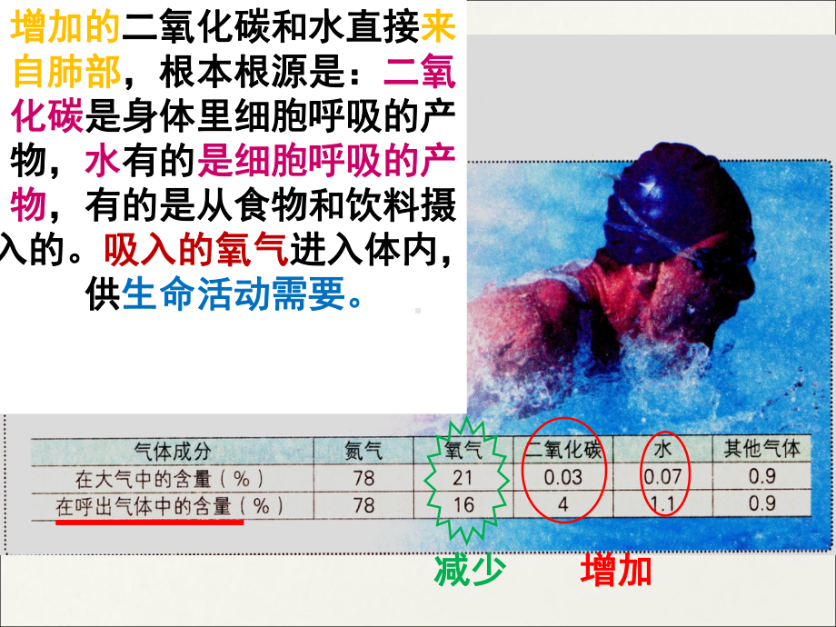 发生在肺内的气体交换(20)复习过程课件.ppt_第3页