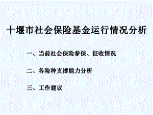 十堰市社会保险基金运行情况分析课件.ppt