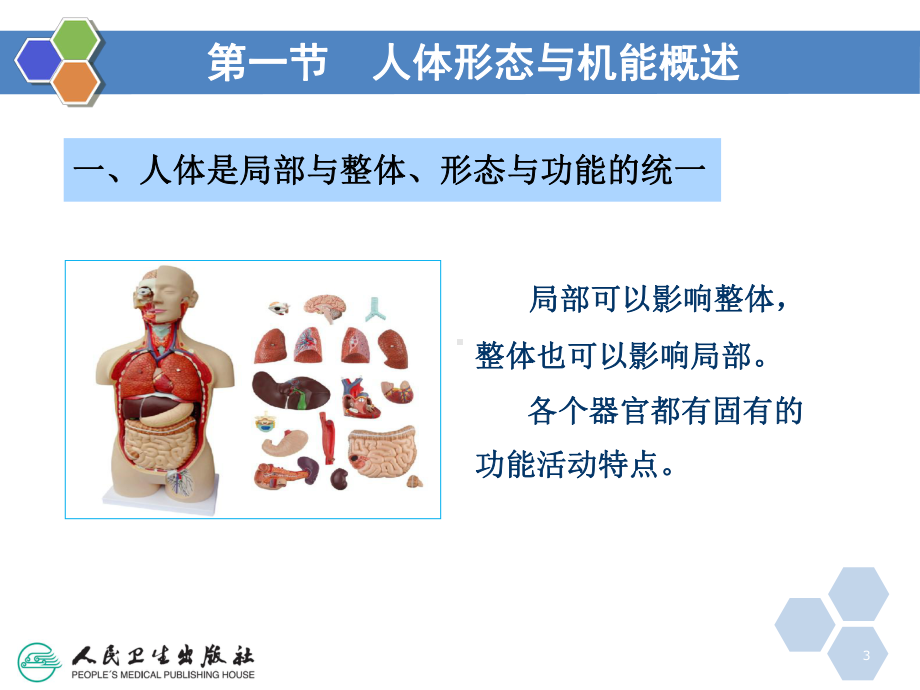 健康管理师第二章医学基础知识(课堂PPT)课件.ppt_第3页