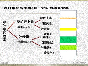 光合作用的探究历程与过程课件.ppt