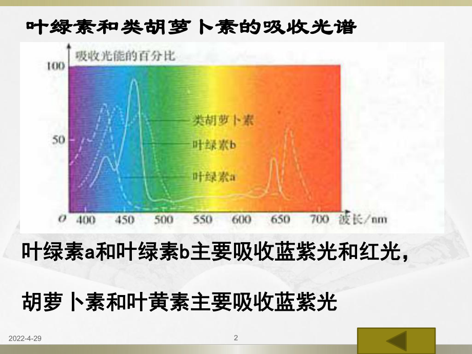 光合作用的探究历程与过程课件.ppt_第2页