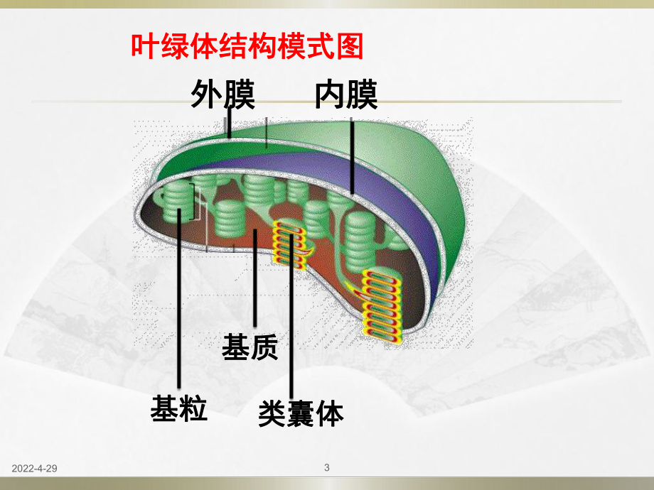 光合作用的探究历程与过程课件.ppt_第3页