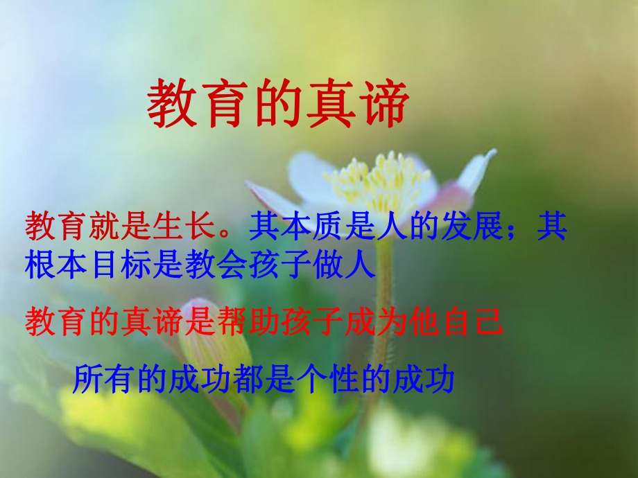 做一名快乐的教师课件.ppt_第3页