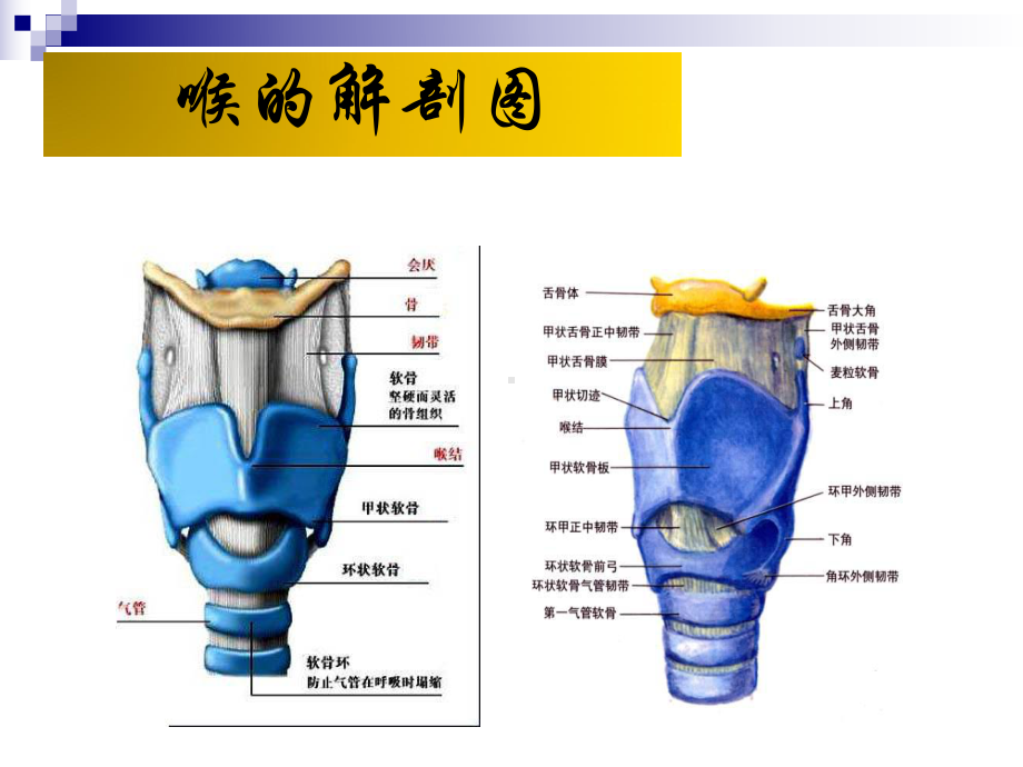 喉癌护理查房课件 (2).ppt_第2页