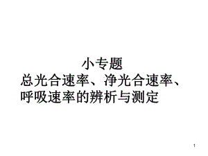 一轮-总光合速率、净光合速率、呼吸速率的辨析与测定(共25张)(课堂PPT)课件.pptx