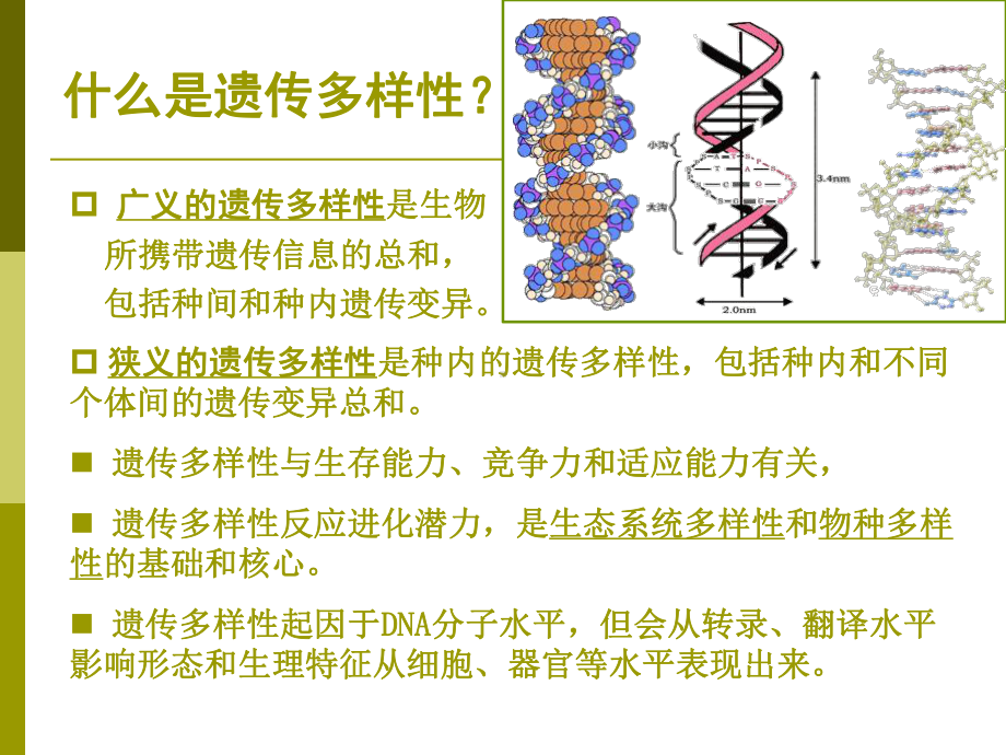 保护生物学遗传多样性及保护课件.ppt_第1页