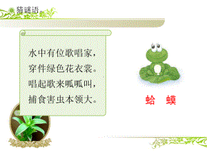 小学音乐《数蛤蟆》(动画音频都能播放)课件.ppt