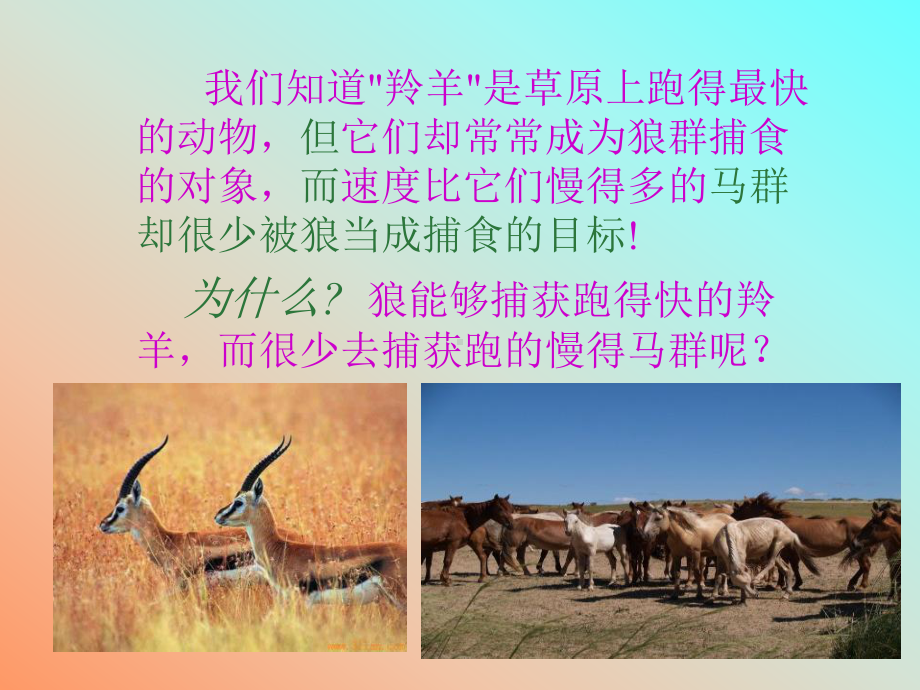 团队建设培训讲义课件.ppt_第3页