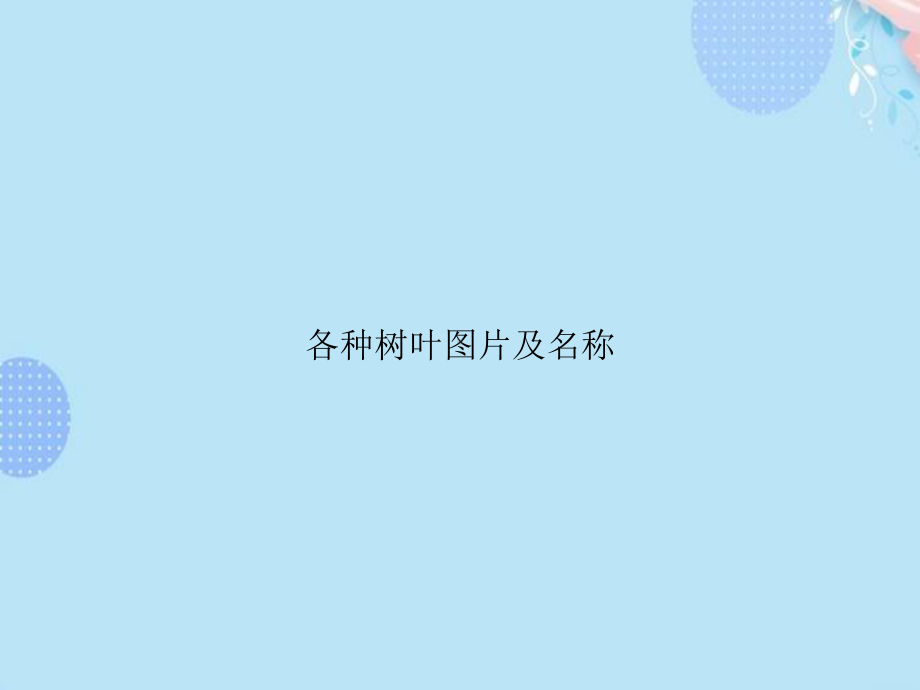 各种树叶图片及名称PPT资料(完整版)课件.ppt_第1页