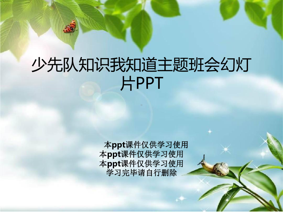 少先队知识我知道主题班会幻灯片PPT课件.ppt_第1页