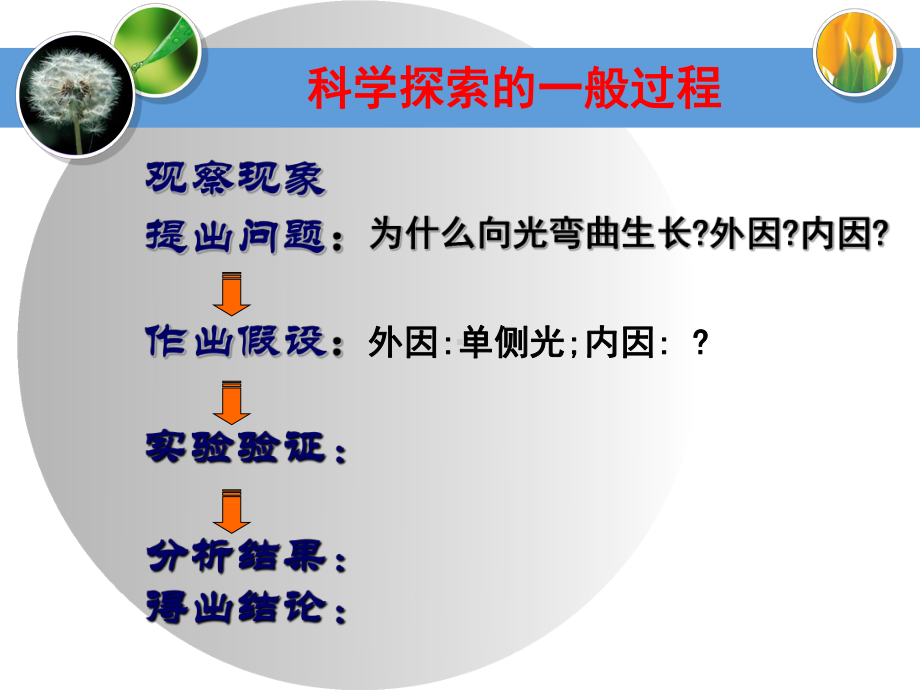 一植物的应激性课件.ppt_第3页