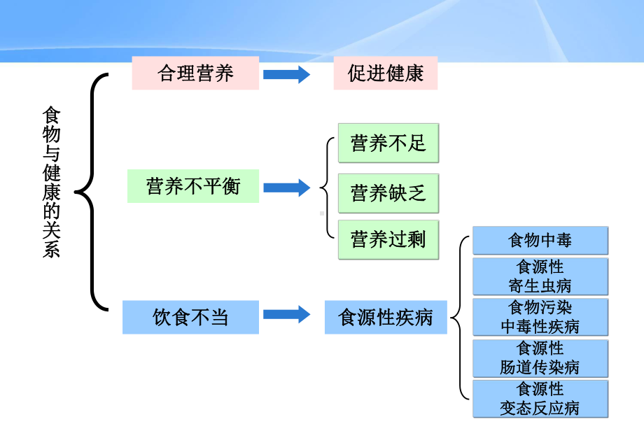 卫生学：食物与健康课件.ppt_第3页