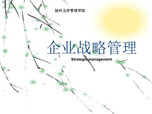 企业战略管理第一章-战略与战略管理sun课件.ppt