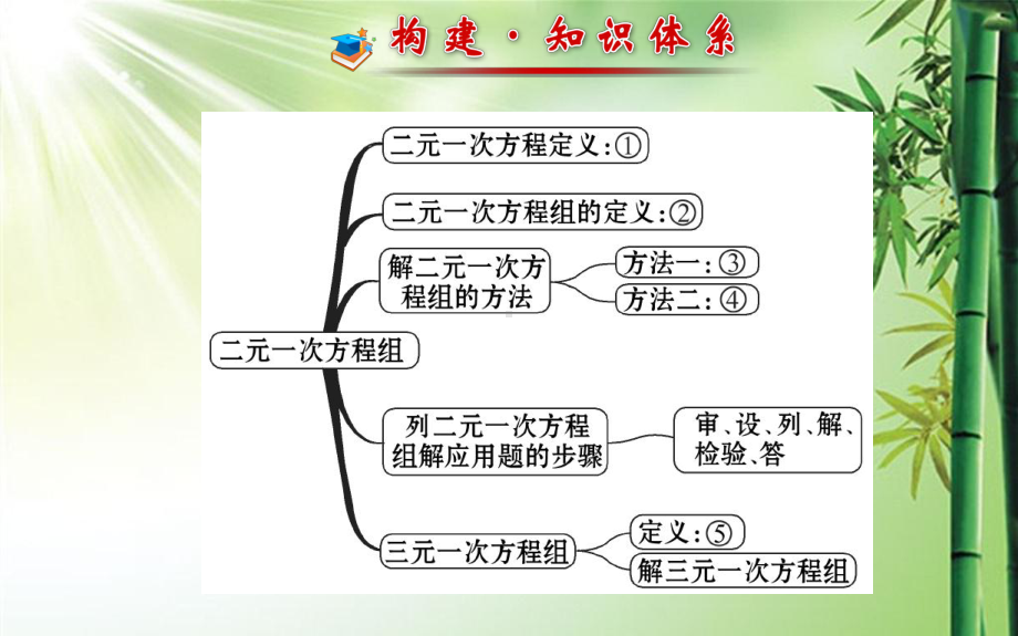 七年级下册数学二元一次方程组专题复习.ppt课件.ppt_第2页