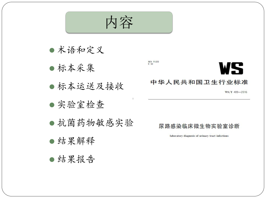 尿路感染临床微生物实验室诊课件.pptx_第2页