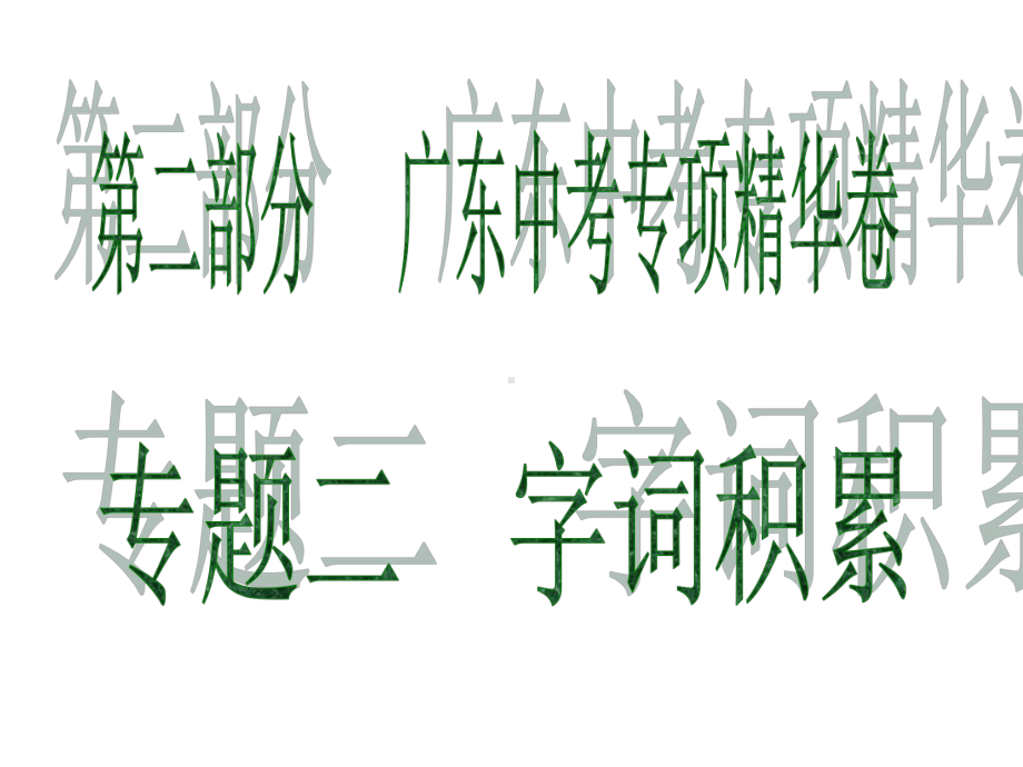 广东省2020中考语文复习课件：专项精华卷-专题二-字词积累(共28张PPT).ppt_第1页