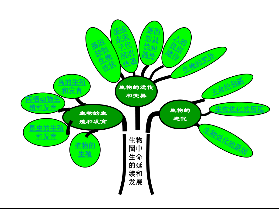 人教版八年级生物下册第七单元生物圈中生命的延续和发展复习课-(共69张PPT)课件.pptx_第2页