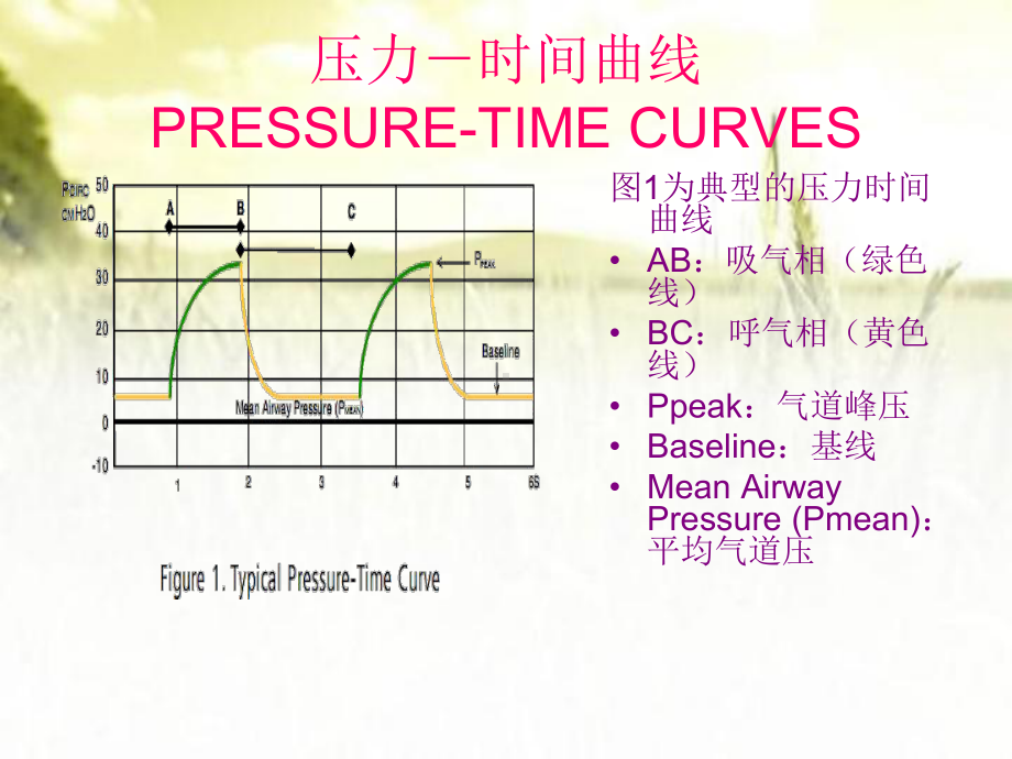 呼吸机波形分析-PPT课件.ppt_第2页