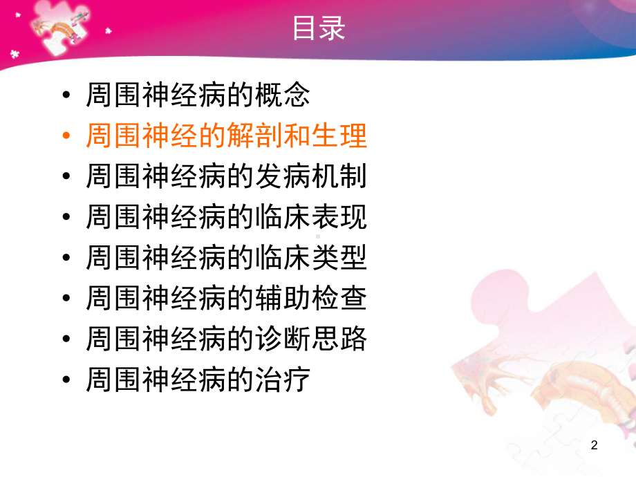 周围神经病概述课件.ppt_第2页