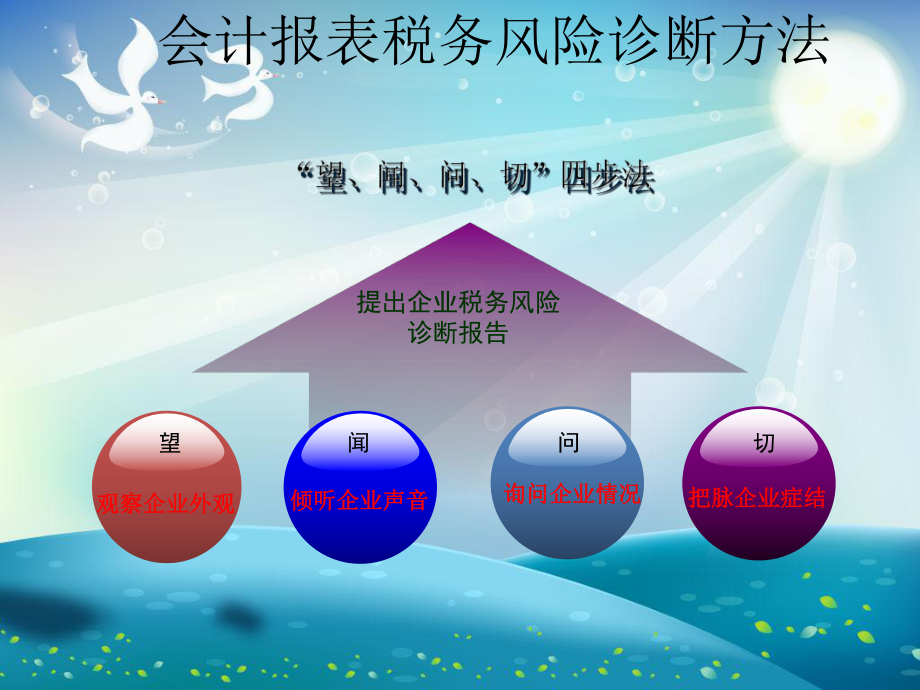 会计报表税务风险检查诊断课件.ppt_第1页