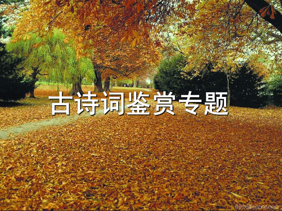 古诗词鉴赏专题ppt课件.ppt_第1页