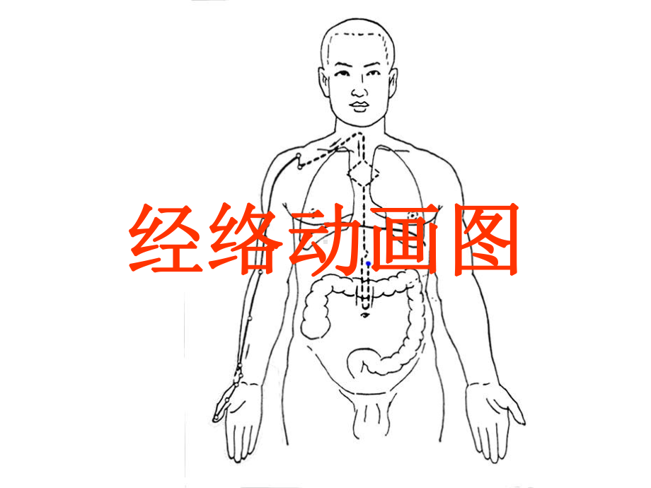 可爱的经络动画图课件.ppt_第1页