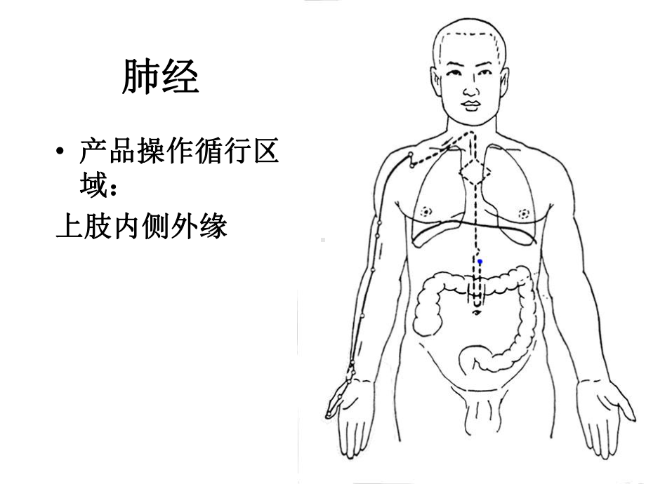 可爱的经络动画图课件.ppt_第3页