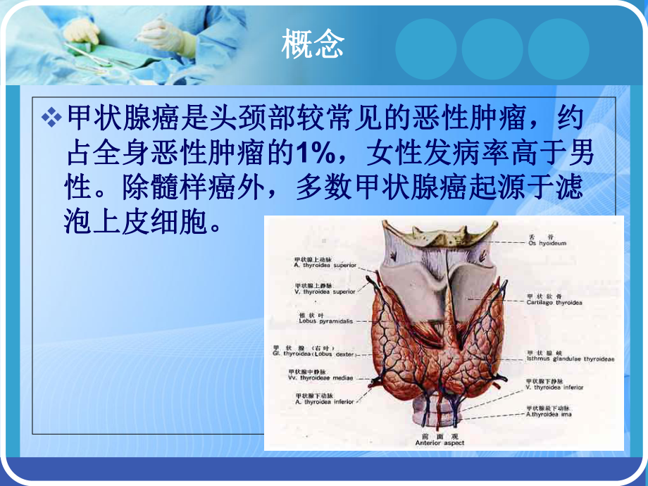 甲状腺癌教学查房PPT.ppt_第2页