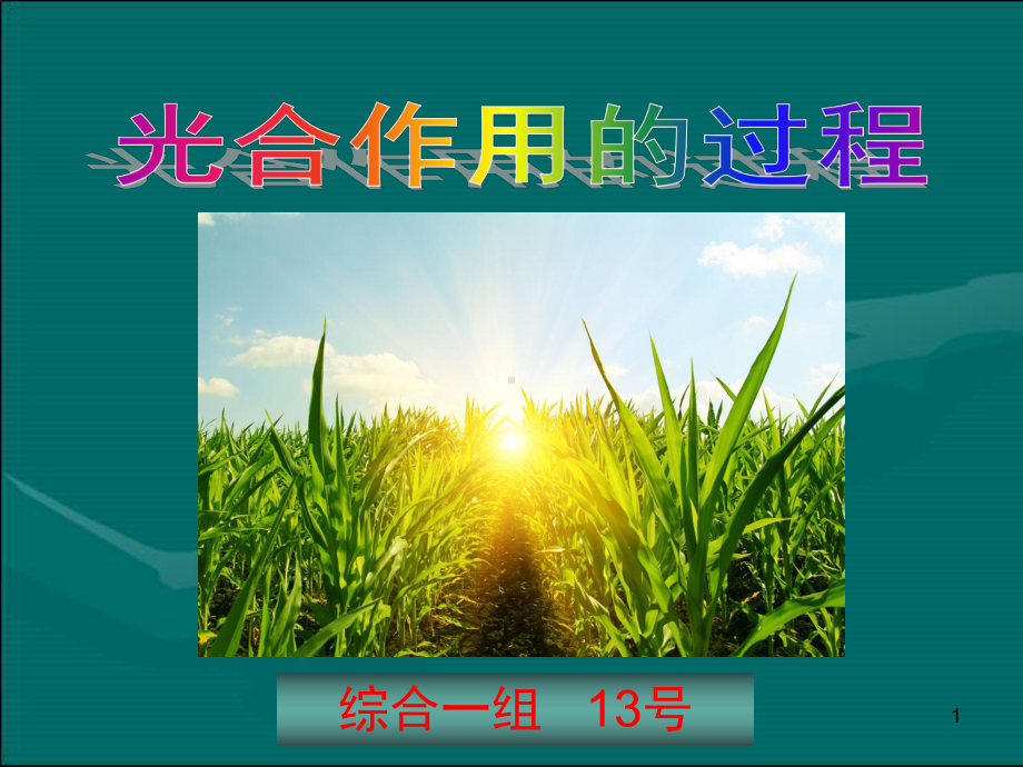 光合作用讲+说课一等奖(课堂PPT)课件.ppt_第1页