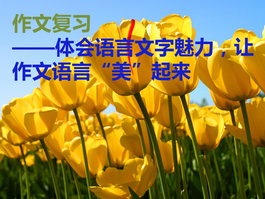 作文教学语言篇课件.ppt_第1页