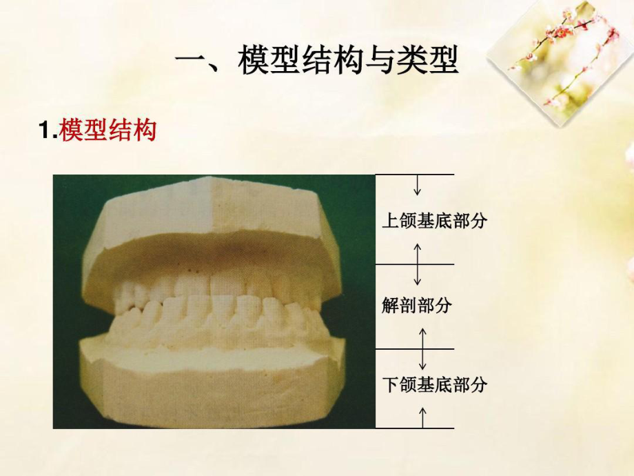 印模制取与石膏模型灌注59页PPT课件.ppt_第2页