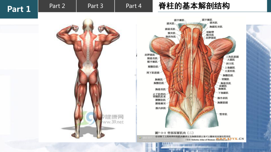 保护脊柱正确坐姿课件.ppt_第2页