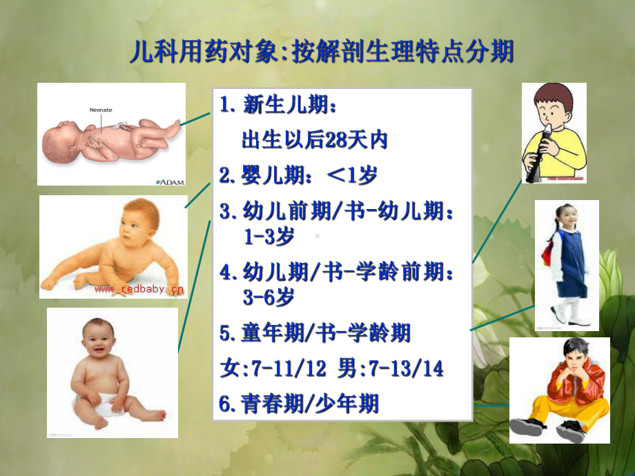 儿童的用药安全知识.ppt课件.ppt_第3页