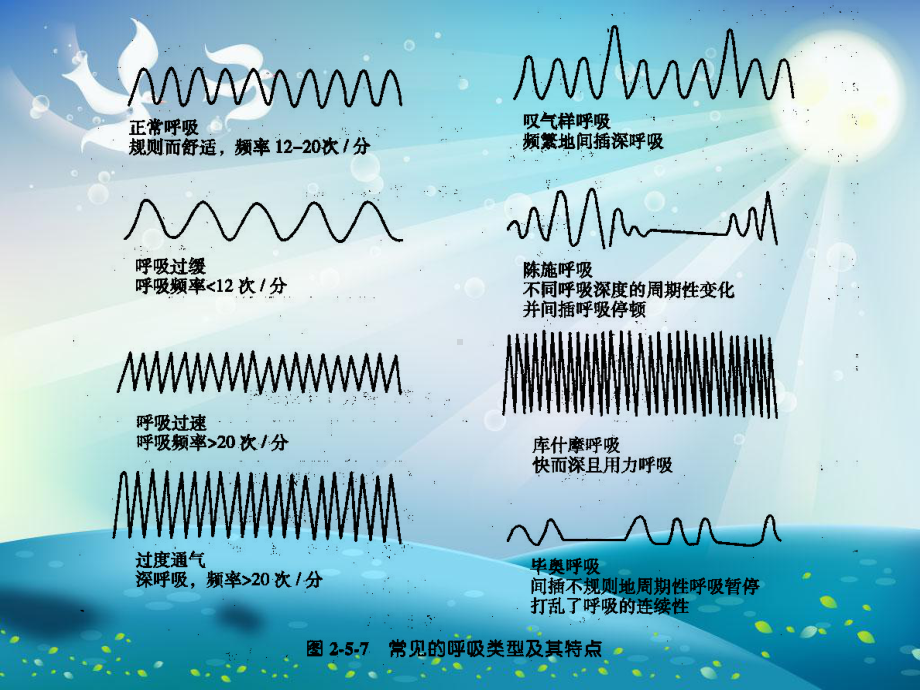 呼吸困难患者的紧急护理课件.ppt_第2页