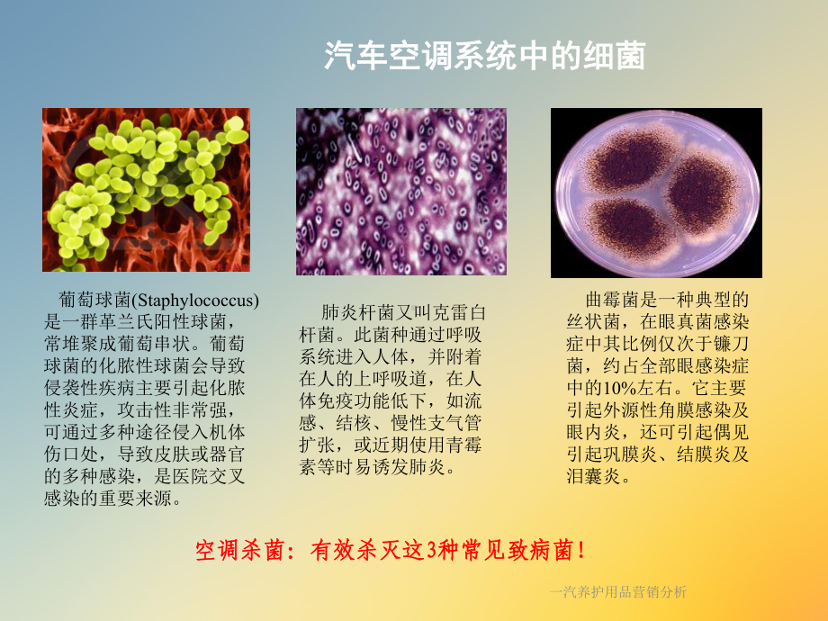 一汽养护用品营销分析课件.ppt_第3页