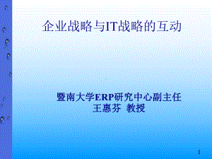 企业战略与IT战略资料课件.ppt