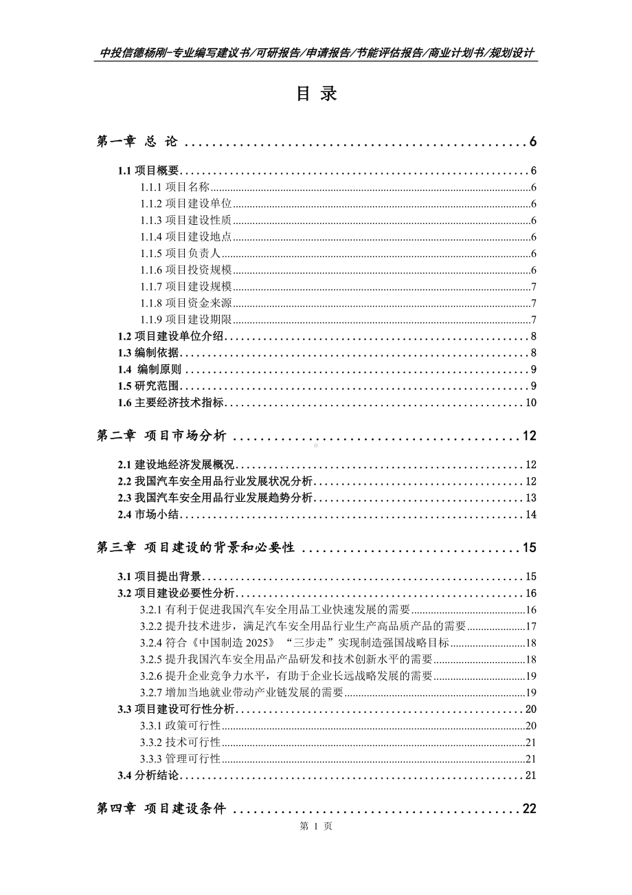 汽车安全用品项目可行性研究报告申请建议案例.doc_第2页