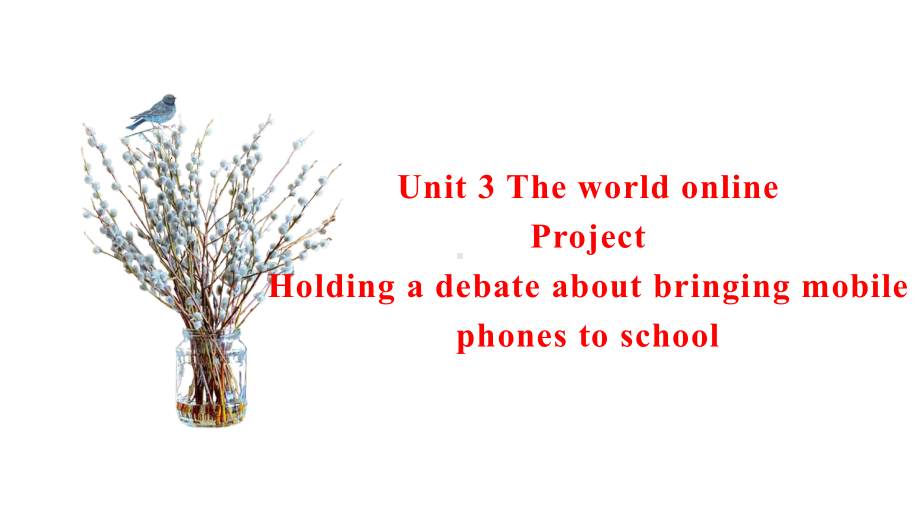 Unit 3 The world online Project ppt课件-（2020）新牛津译林版高中英语高一必修第三册.pptx_第1页