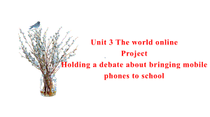 Unit 3 The world online Project ppt课件-（2020）新牛津译林版高中英语高一必修第三册.pptx