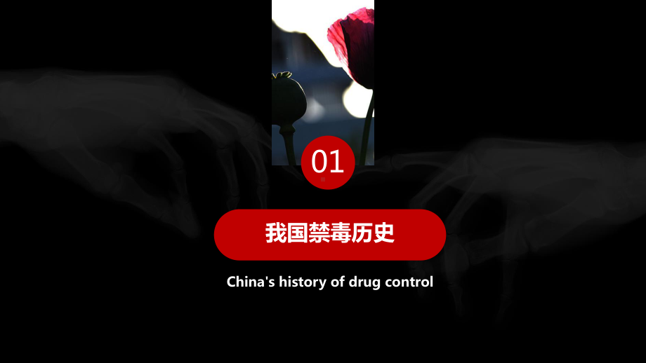 珍爱生命 远离du品-24.pptx_第3页